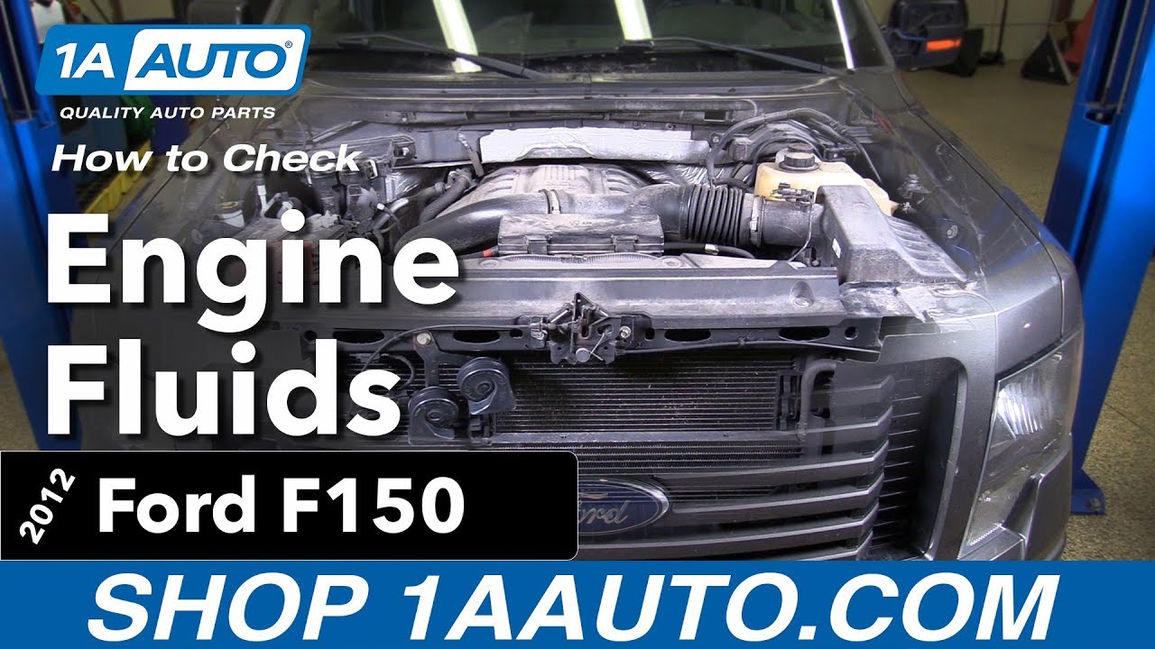 How To Check you Engine Fluids 2009-14 Ford F150