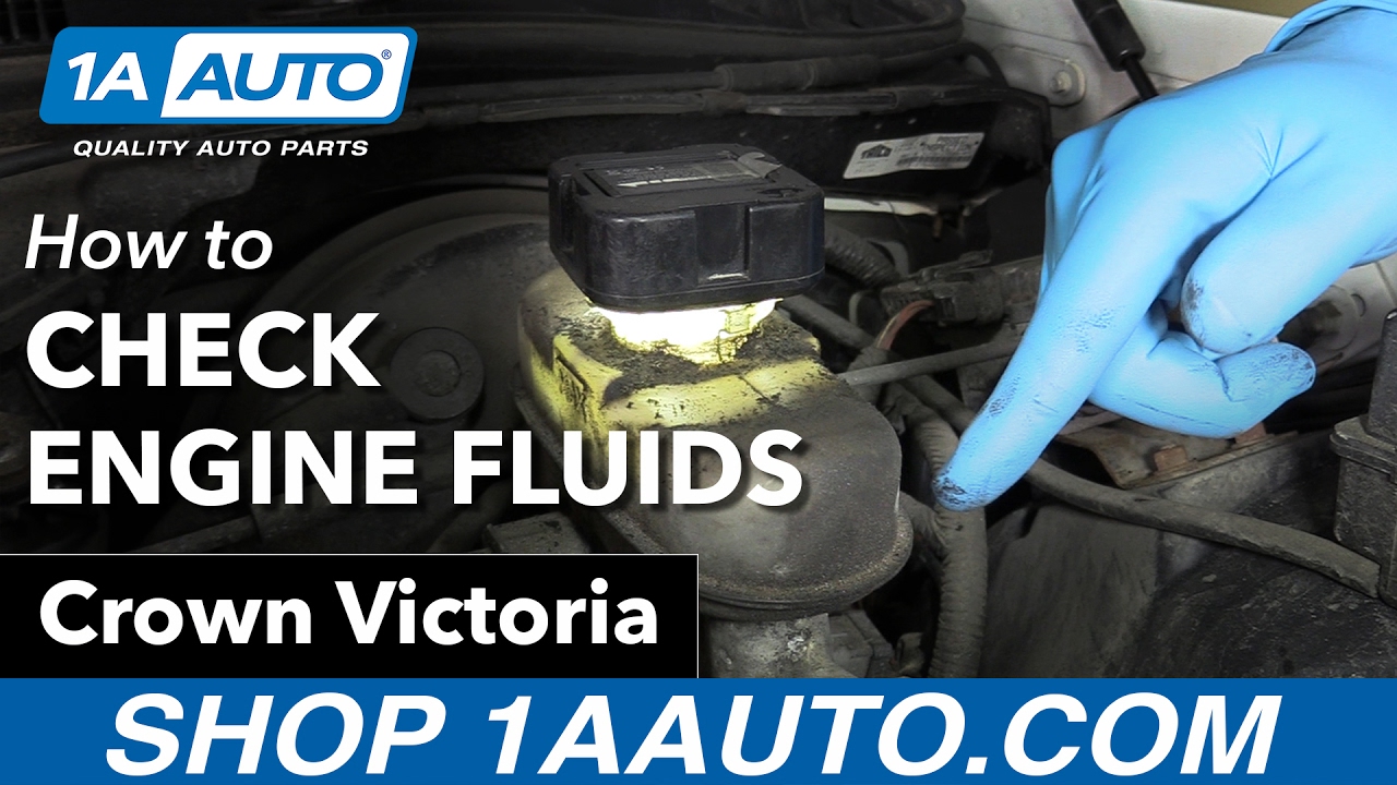 How to Check your Engine Fluids 19982012 Ford Crown Victoria 1A Auto