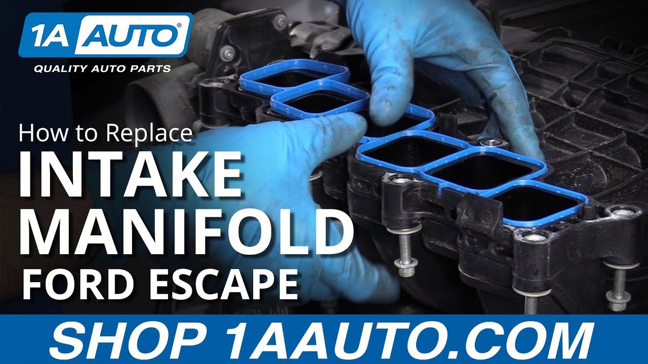 How To Replace The Lower Intake Manifold Gasket at Ann Mcelroy blog