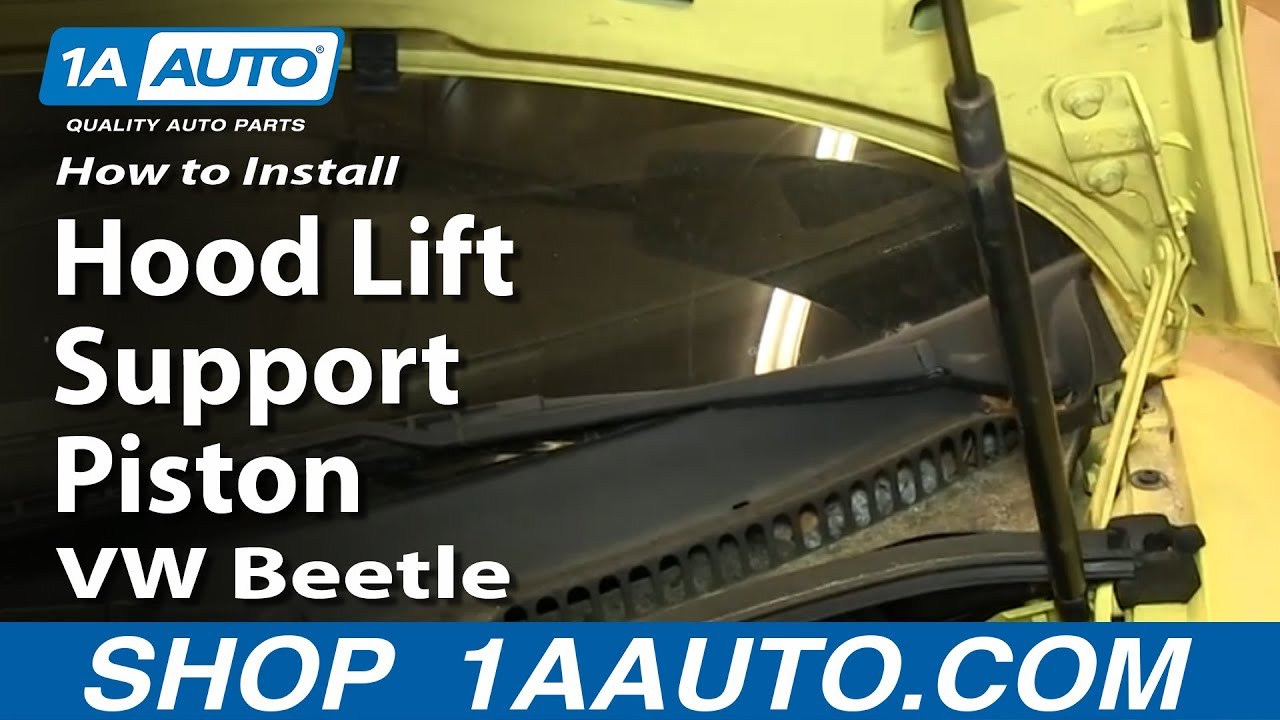 How To Replace Hood Struts at James Mitchel blog