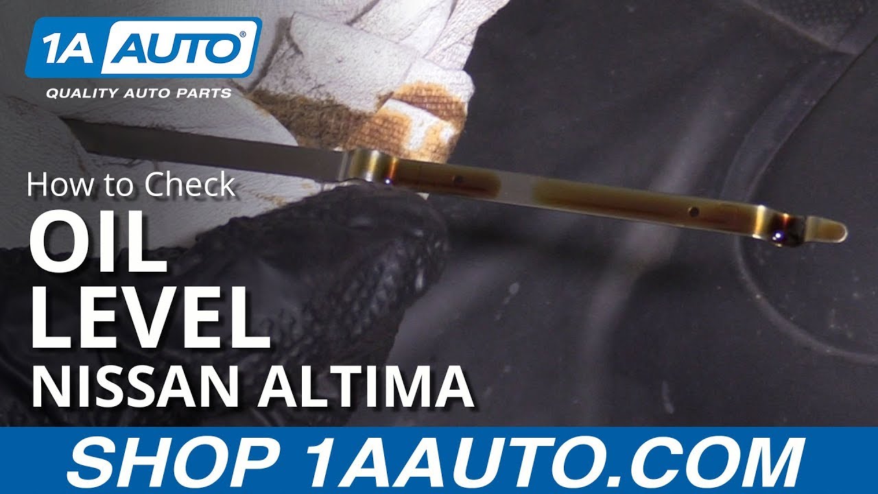 partak-design: 1995 Nissan Altima Check Engine Light