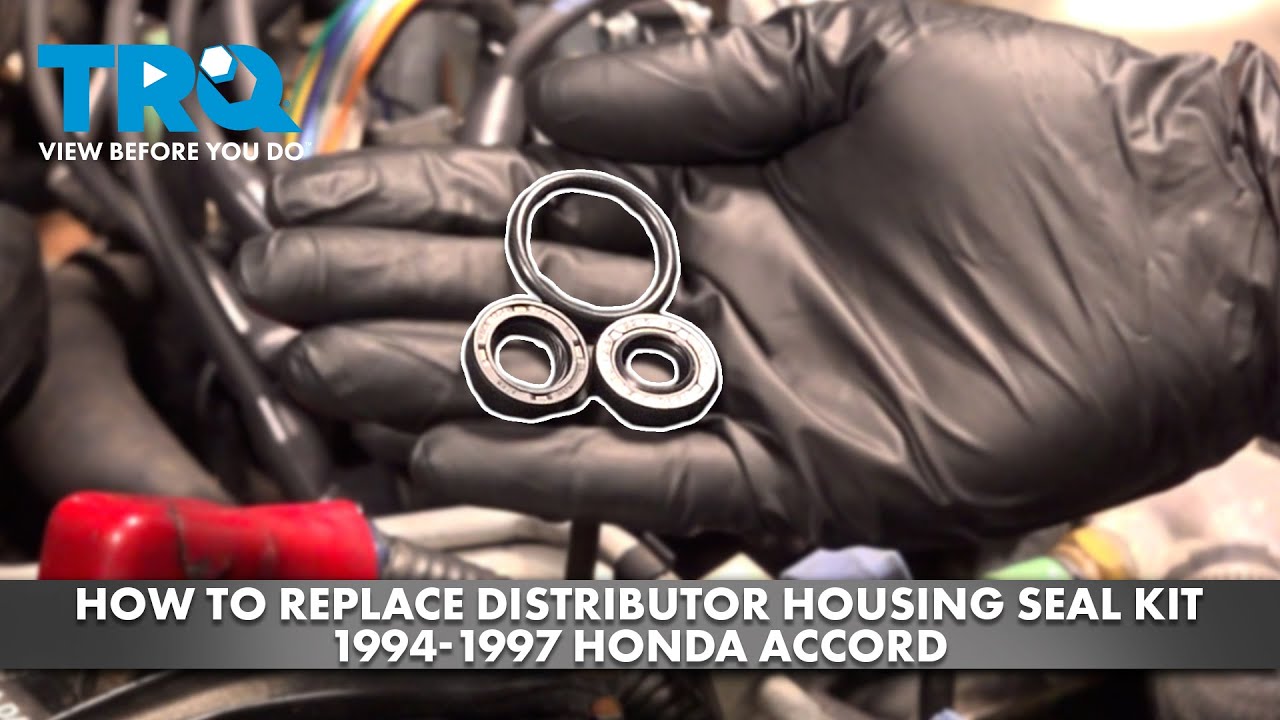 How to Replace Distributor Housing Seal Kit 19941997 Honda Accord 1A Auto