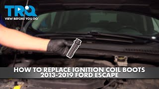 How to Replace Ignition Coil Boots 2013-2019 Ford Escape 1A Auto