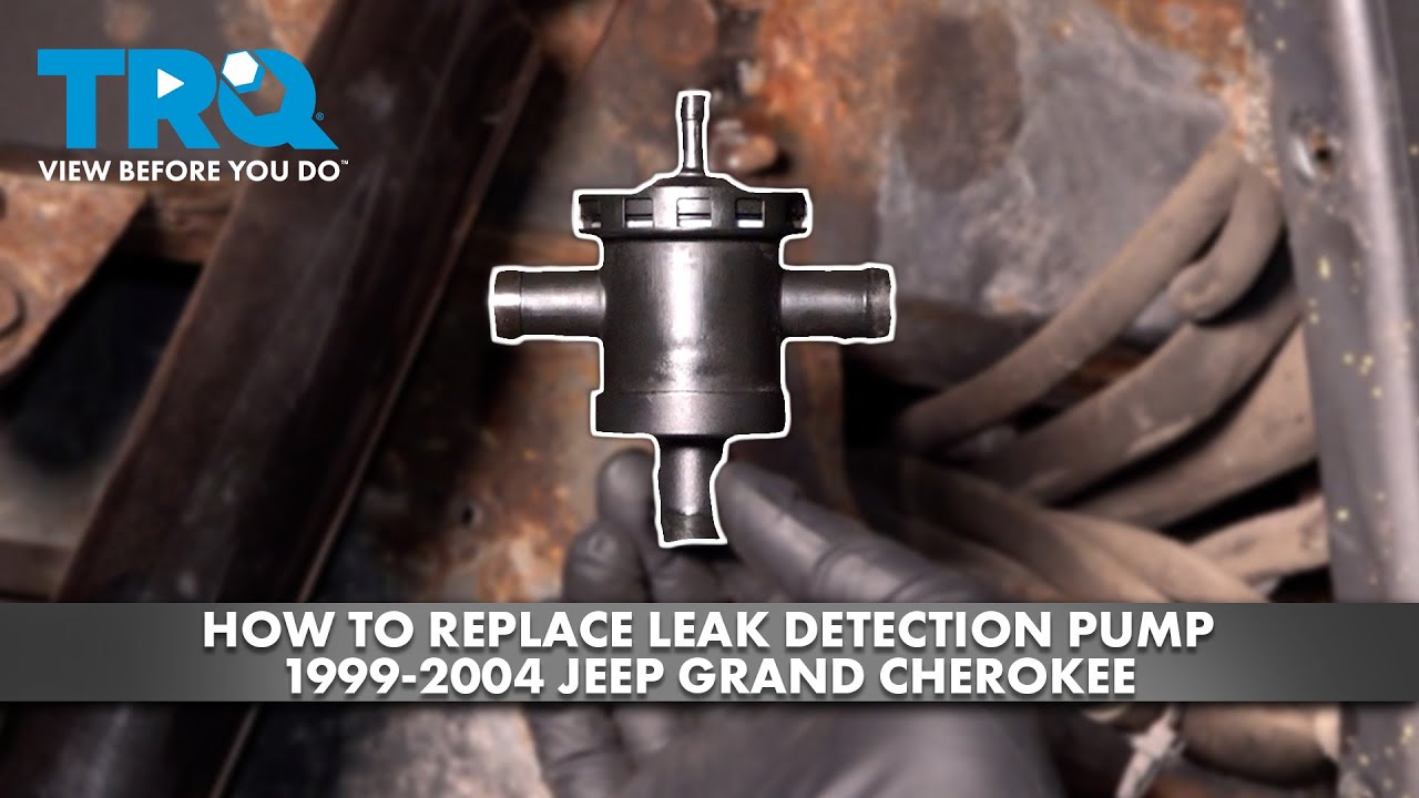 How to Replace Leak Detection Pump 19992004 Jeep Grand Cherokee 1A Auto