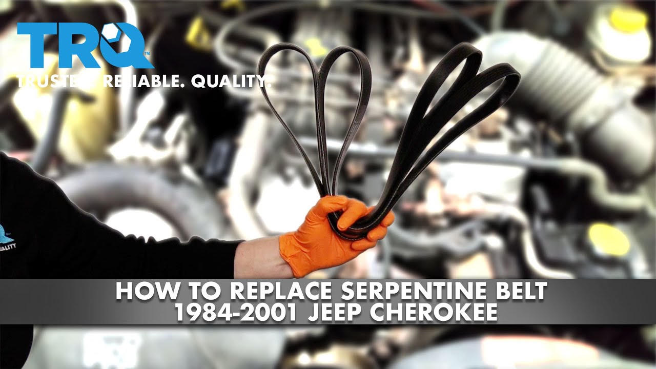 How To Replace Serpentine Belt 19842001 Jeep Cherokee 1A Auto