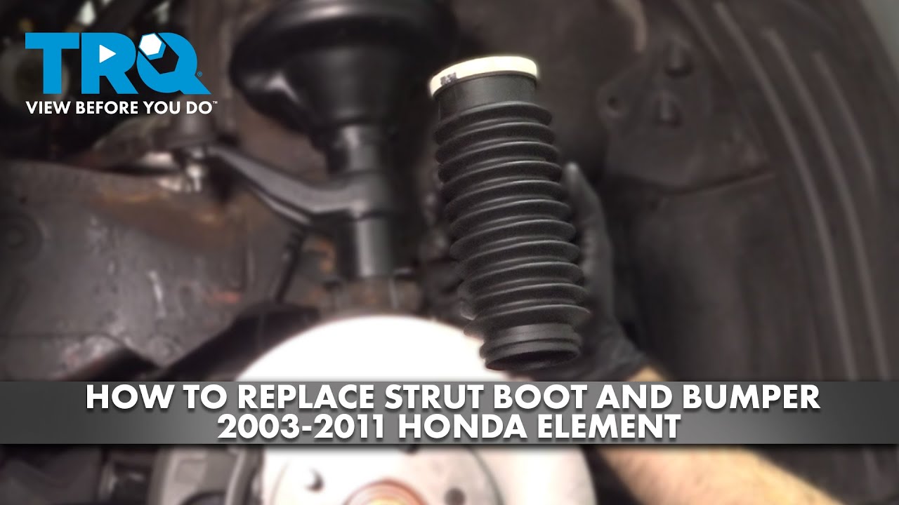 How to Replace Front Strut Boot Bumper 20032011 Honda Element 1A Auto