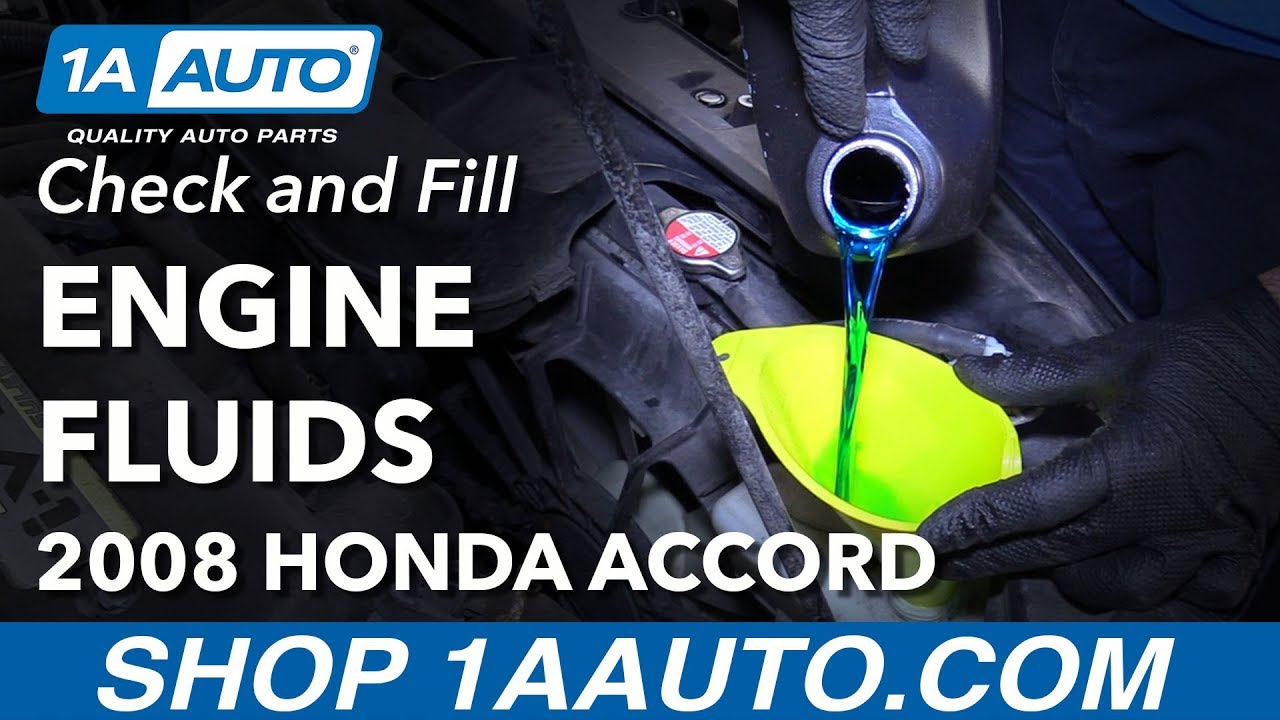 How to Check and Fill Engine Fluids 200812 Honda Accord 1A Auto