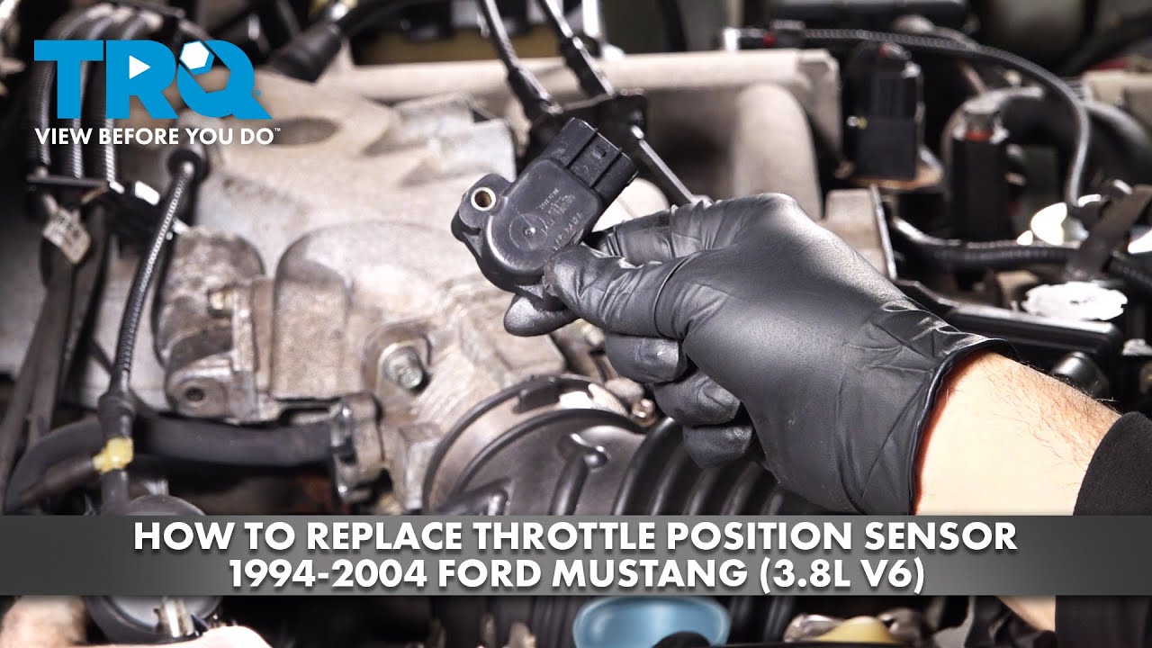 How to Replace Throttle Position Sensor 19942004 Ford Mustang 38L V6