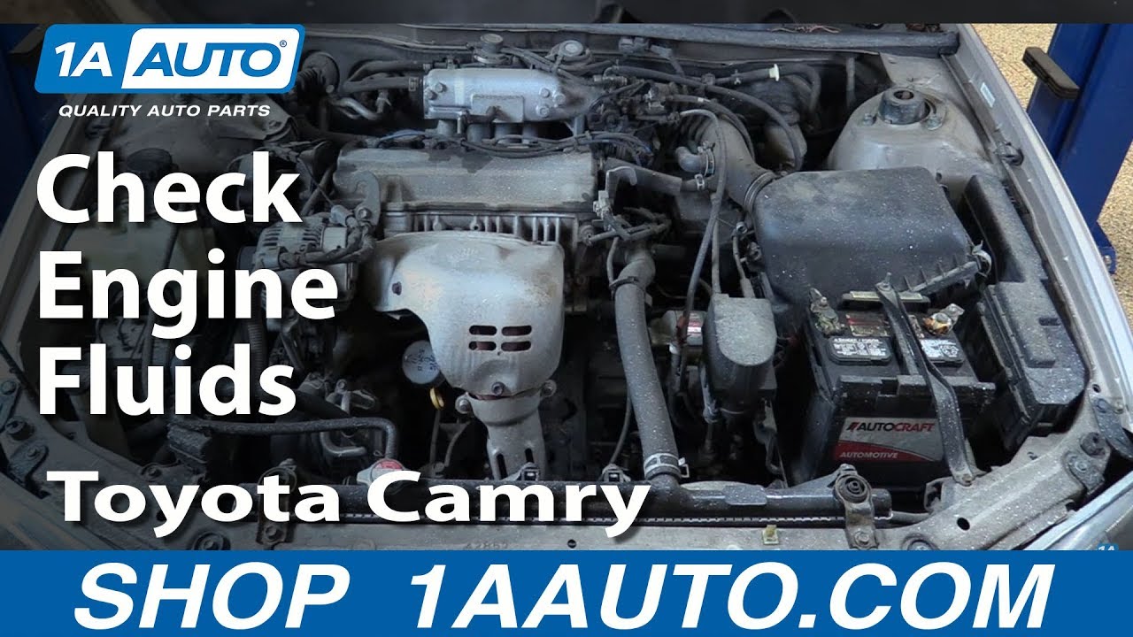 How to Check Your Fluids on a 19982003 Toyota Camry 1A Auto